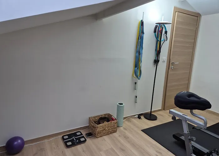 Apartment Et Montagne Prestigieux 7 Couchages Et Salle De Sport